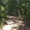 Siloam Springs AR- 2 Lots - 0.14 Acres of Land for Sale: Siloam Springs, Arkansas