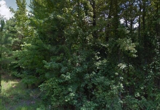 Real Estate- Vacant land for Sale by Owner. Cheap Vacant land, 1 Acre of Land, Bearden, Arkansas 71720