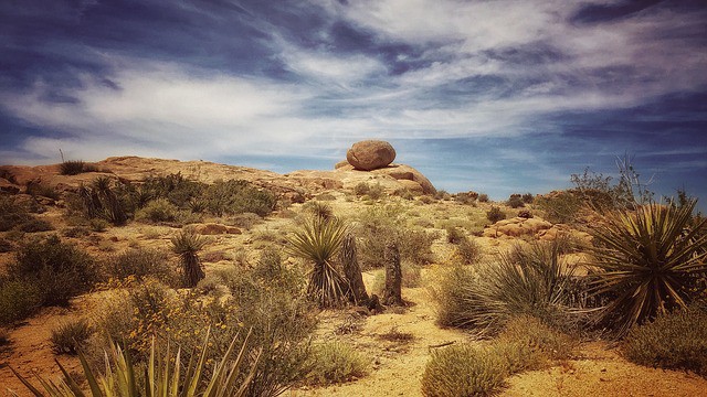 15 Cheapest Places to Buy Land in the United States