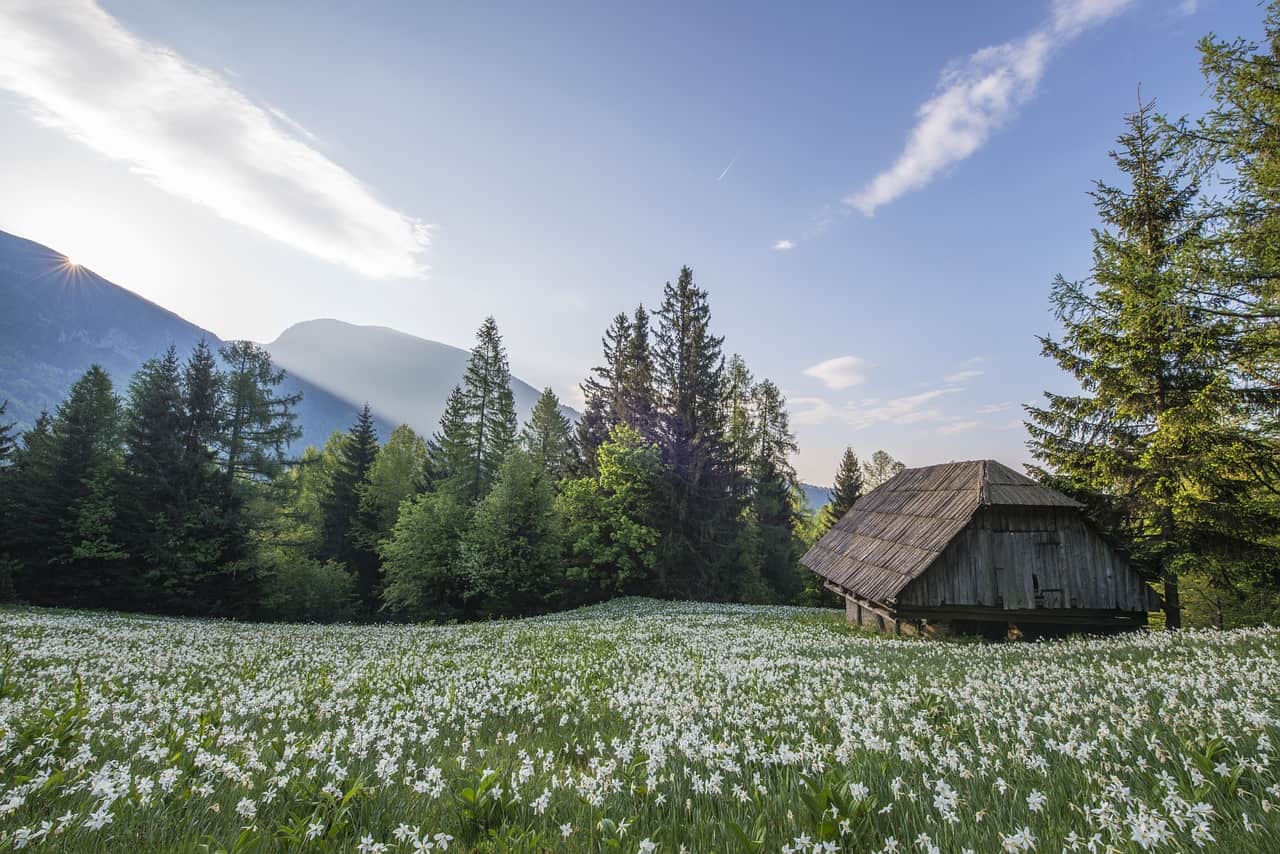 How do You Make Money with Vacant Land?