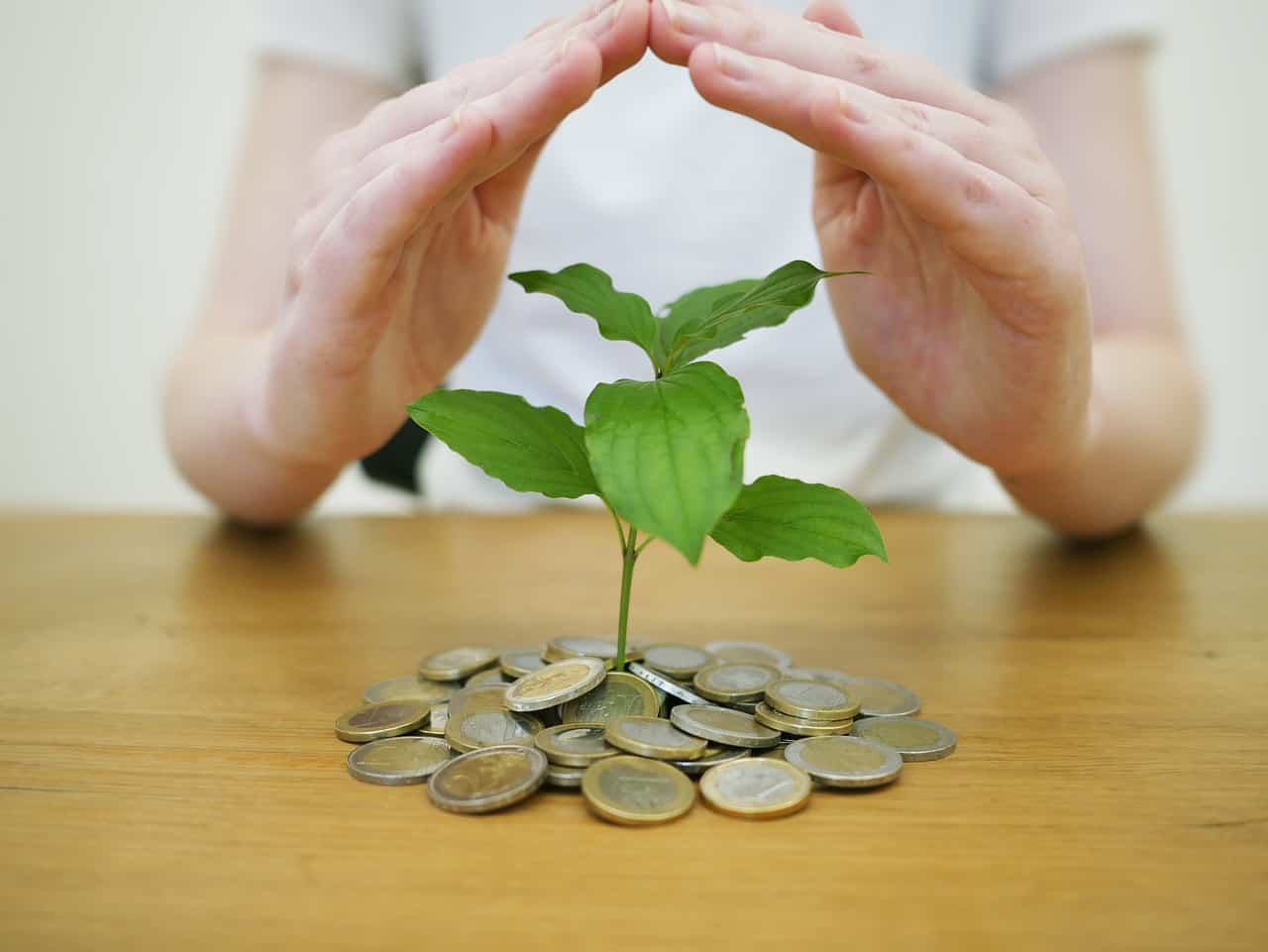 Is Owning Land Profitable?