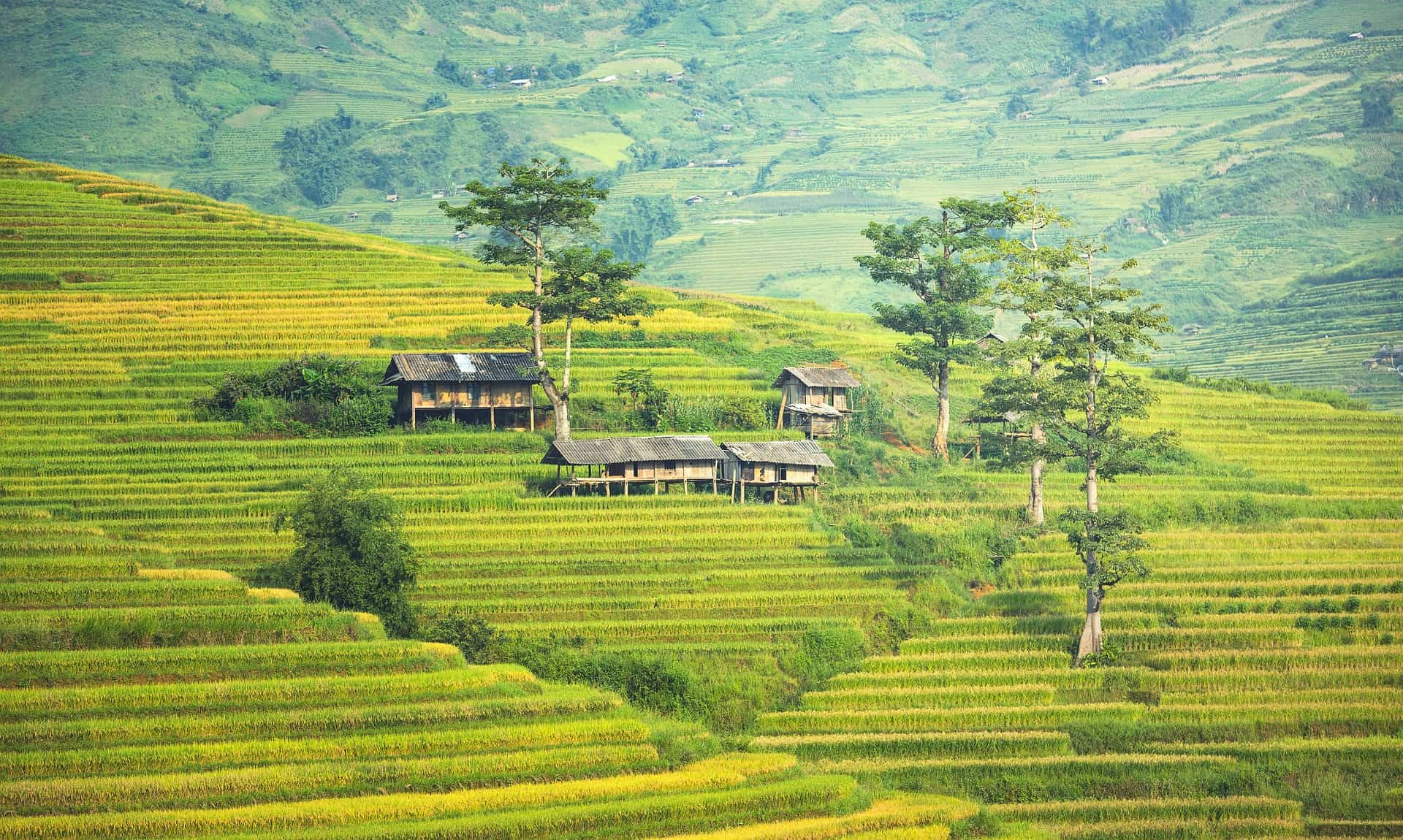 Where to find cheap country land for sale in USA?