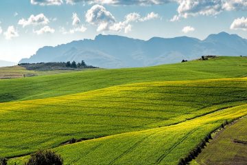 Is agricultural land a good investment?