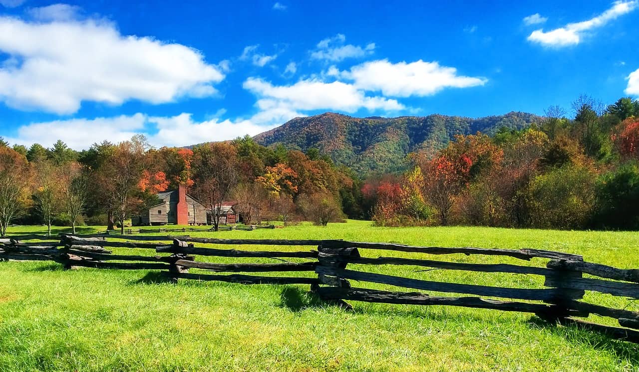 Top fence options for your land